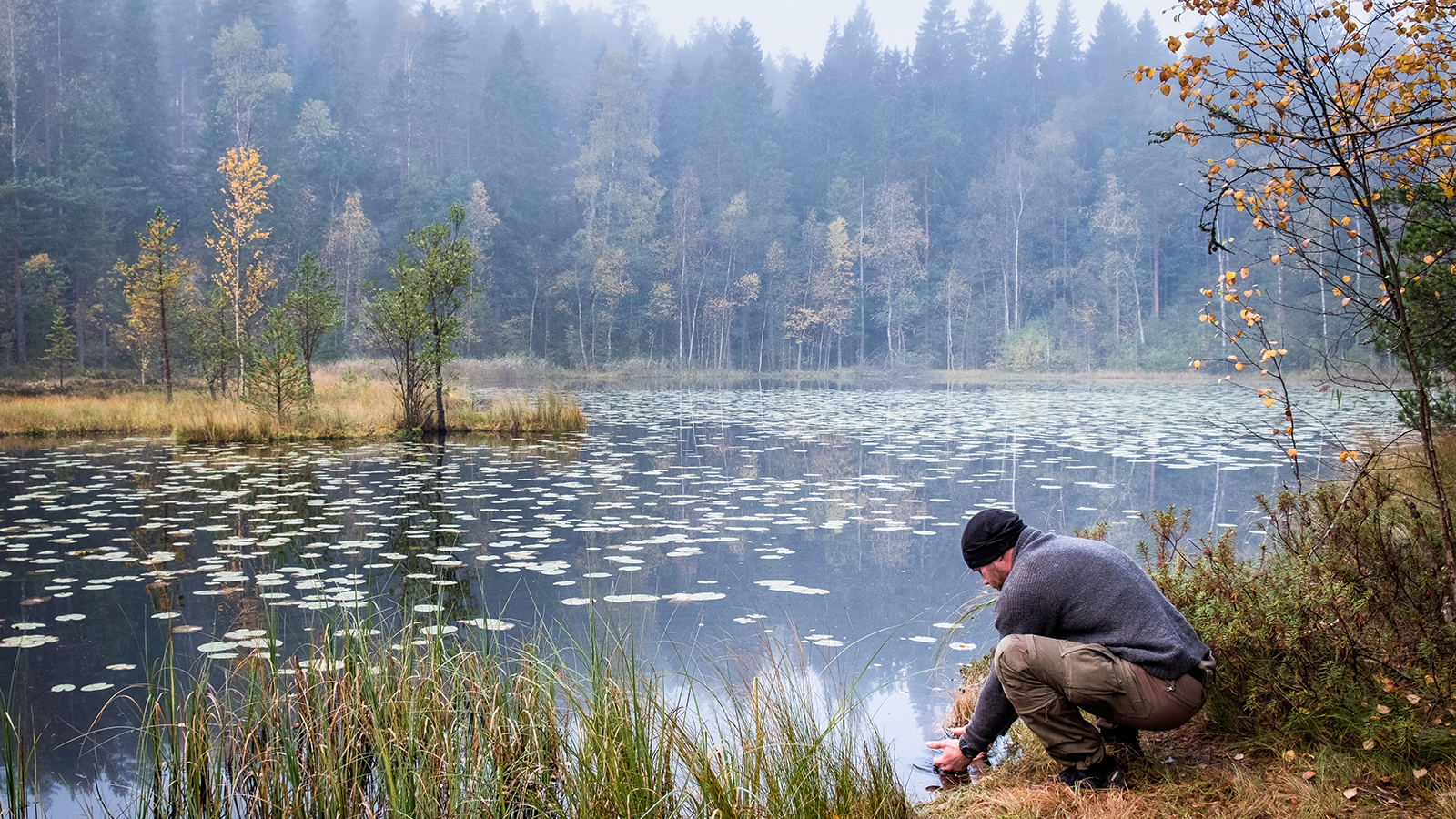 Pohjolan Voima launches its biodiversity programme