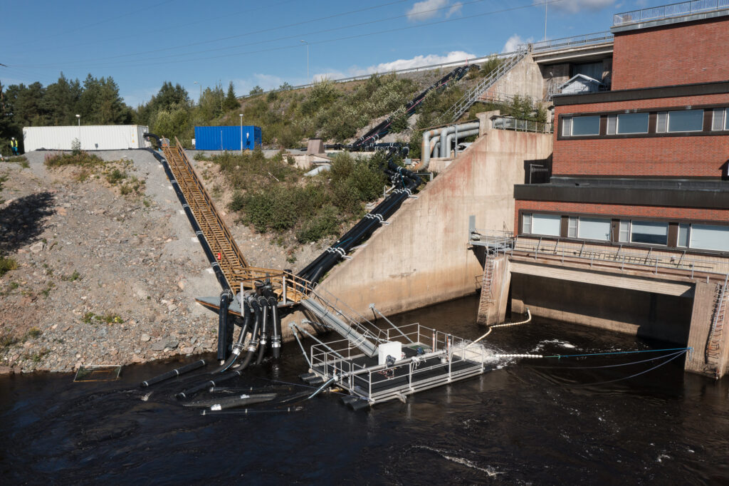 Fishheart fishway in operation at Raasakka power plant